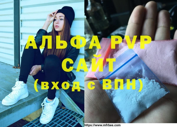 молекула духа Дмитровск