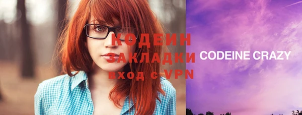 молекула духа Дмитровск