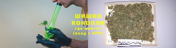 молекула духа Дмитровск