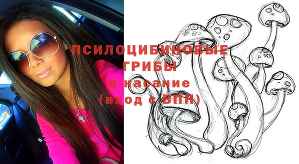 кокс Дмитров
