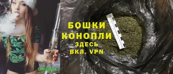 молекула духа Дмитровск