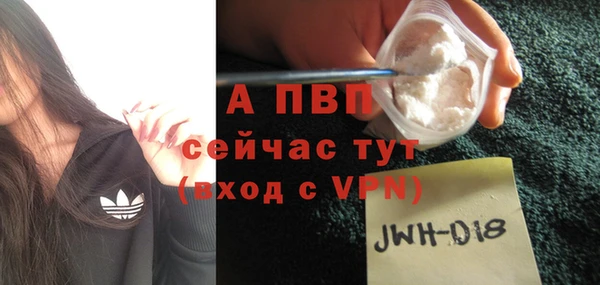 молекула духа Дмитровск