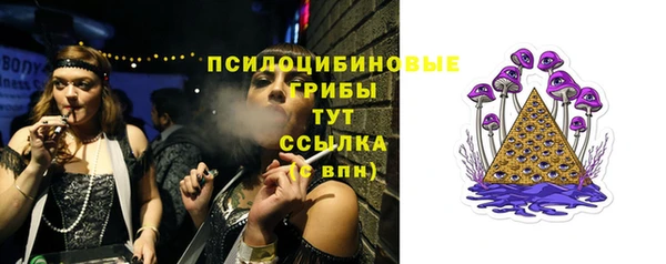 эйфоретик Валдай