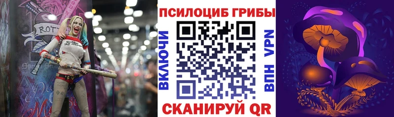 Псилоцибиновые грибы Psilocybine cubensis  МЕГА ONION  Западная Двина 