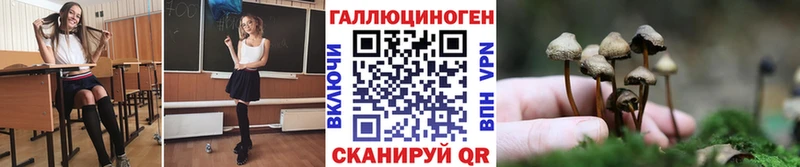 Галлюциногенные грибы ЛСД Западная Двина